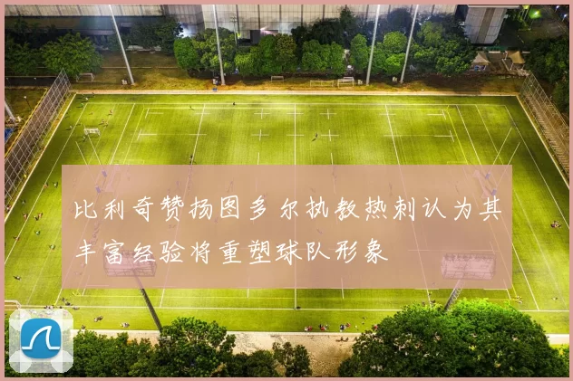 比利奇赞扬图多尔执教热刺认为其丰富经验将重塑球队形象